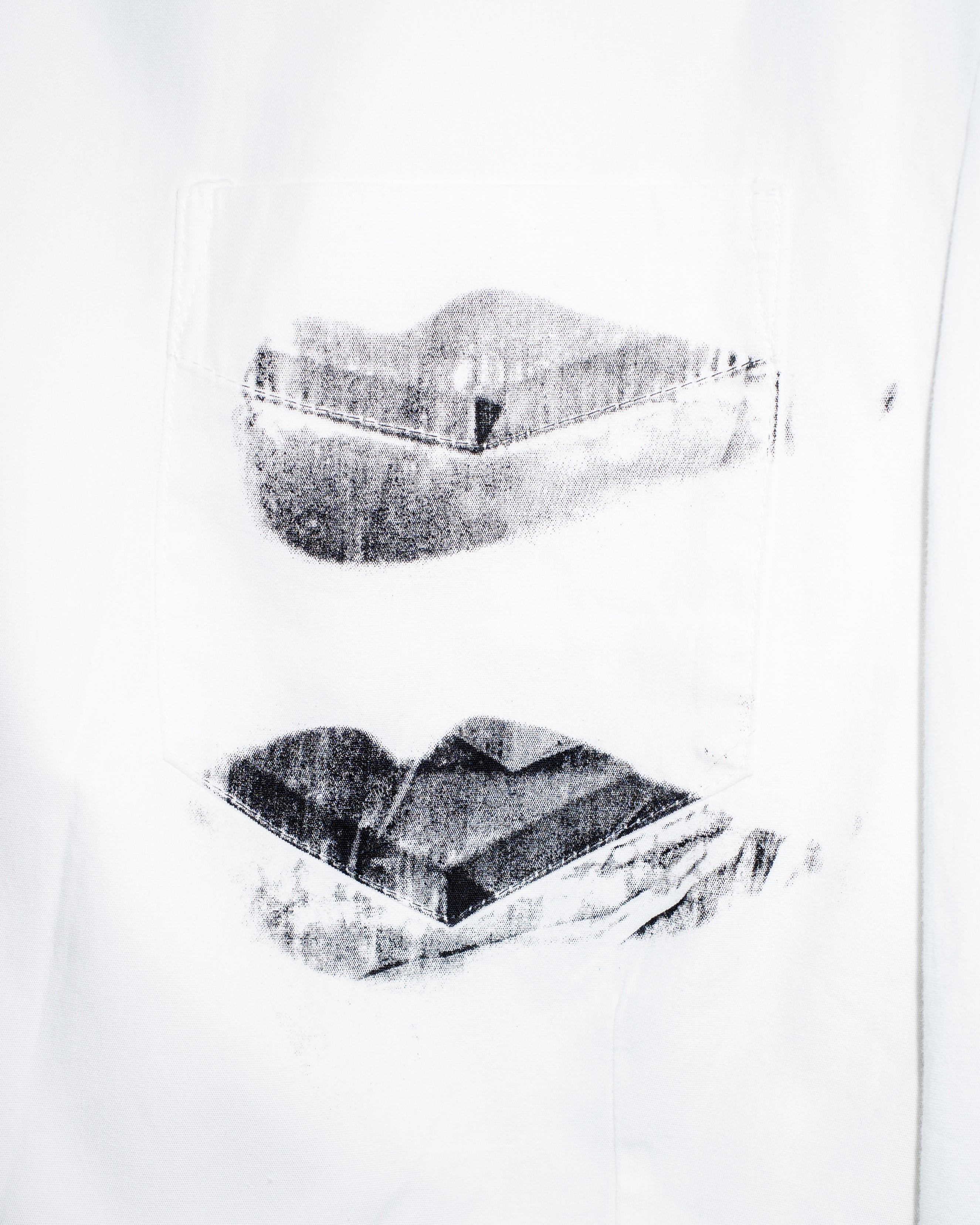 Bacteria White x Lotus Lourdes